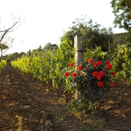 Dalla Campagna Al Mare * Campiglia Marittima