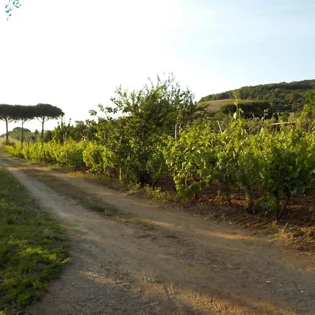 Apartament Dalla Campagna Al Mare *
