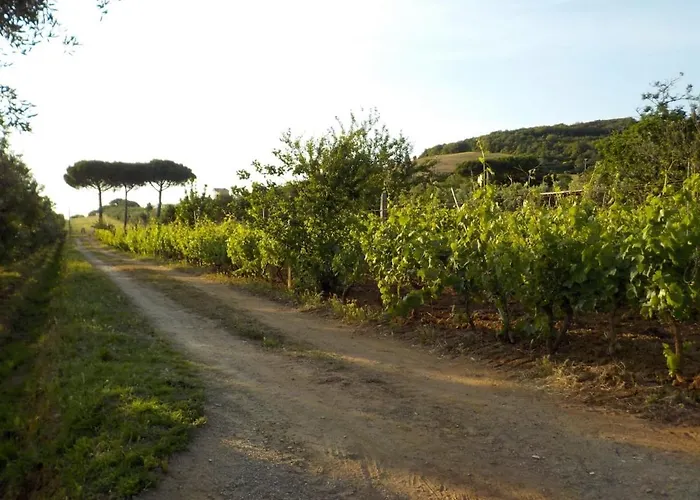 Lejlighed Dalla Campagna Al Mare *